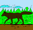 Dibujo Coyote pintado por kevin