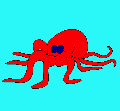 Pulpo