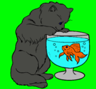 Dibujo Gato mirando al pez pintado por salomon