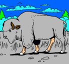 Dibujo Búfalo  pintado por nathanael