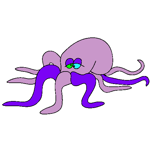 Pulpo