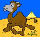 Dibujo Camello pintado por kevinnn
