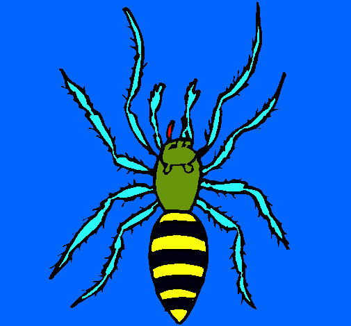 Araña tigre