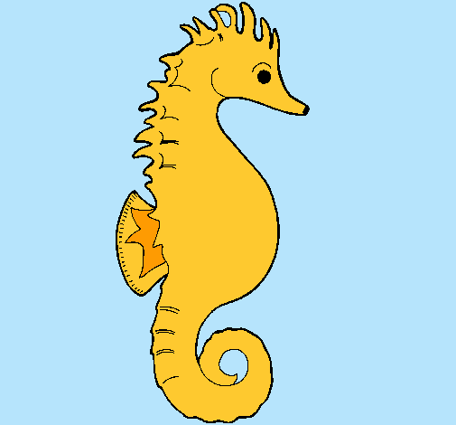 Caballito de mar