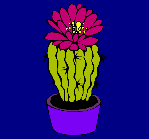 Cactus con flor