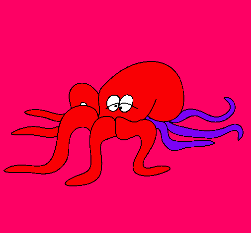 Pulpo