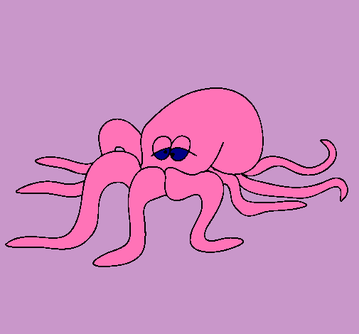 Pulpo