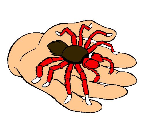 Tarántula