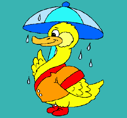 Pato bajo la lluvia