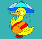 Dibujo Pato bajo la lluvia pintado por saindy
