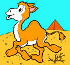 Dibujo Camello pintado por camilasierra
