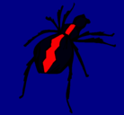Dibujo Araña viuda negra pintado por viudamoustrosa