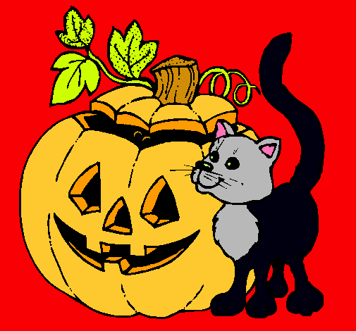 Calabaza y gato