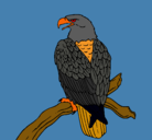 Dibujo Águila en una rama pintado por david