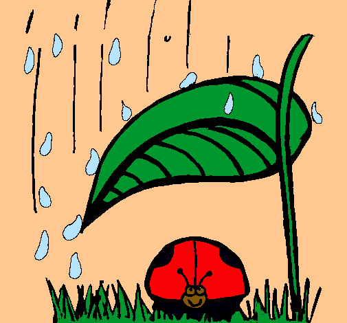 Mariquita protegida de la lluvia