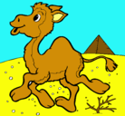 Dibujo Camello pintado por skuld