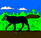 Dibujo Coyote pintado por paola