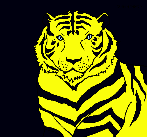 Tigre