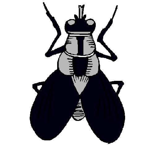 Mosca