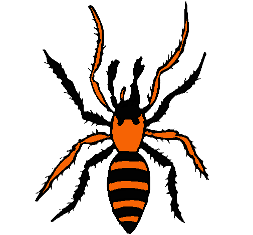 Araña tigre