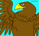 Dibujo Águila Imperial Romana pintado por daniel