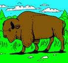 Dibujo Búfalo  pintado por jorge