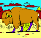 Dibujo Búfalo  pintado por yahir