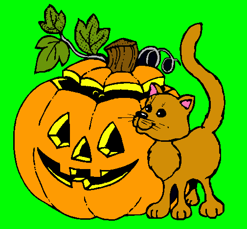 Calabaza y gato