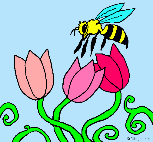 Abeja