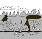 Dibujo Coyote pintado por salvador