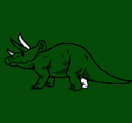 Triceratops