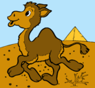Dibujo Camello pintado por WILLIANDCHRISTIAN