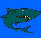 Dibujo Tiburón pintado por alex