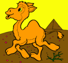 Dibujo Camello pintado por Adriano