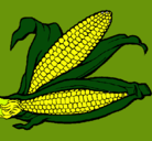 Dibujo Mazorca de maíz pintado por JOSHUA333