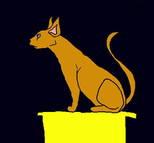 Gato egipcio II