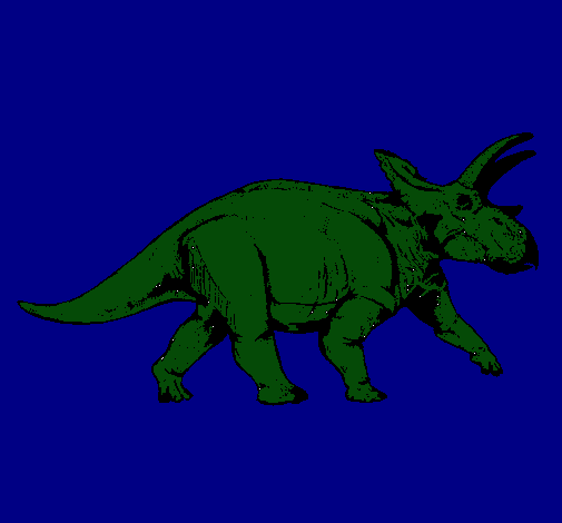 Triceratops