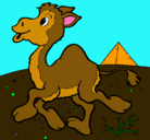 Dibujo Camello pintado por frida
