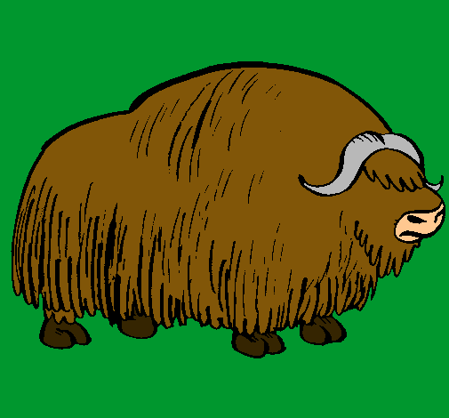 Bisonte