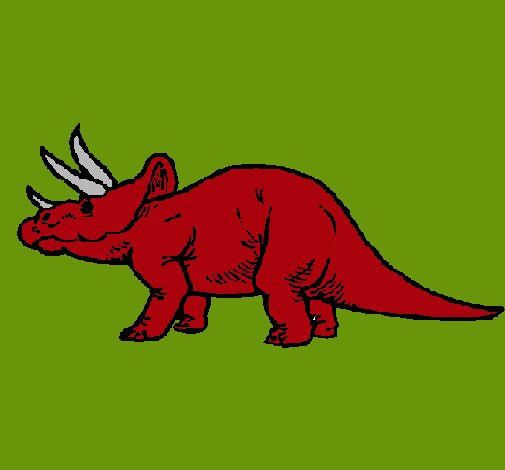 Triceratops