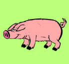 Dibujo Cerdo con pezuñas negras pintado por emita