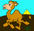Dibujo Camello pintado por Raibeth