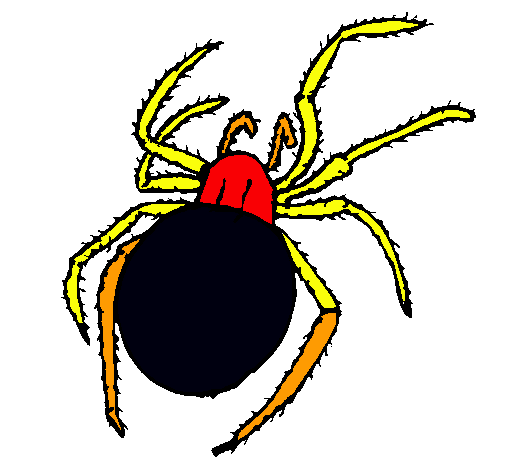 Araña venenosa