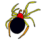 Dibujo Araña venenosa pintado por renato