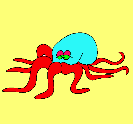 Pulpo