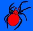 Dibujo Araña venenosa pintado por juliocesar