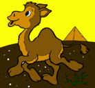 Dibujo Camello pintado por GABYYMYLI