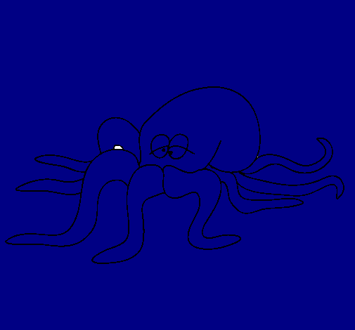 Pulpo