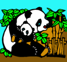 Dibujo Mama panda pintado por NANY