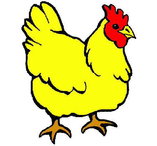 Gallina